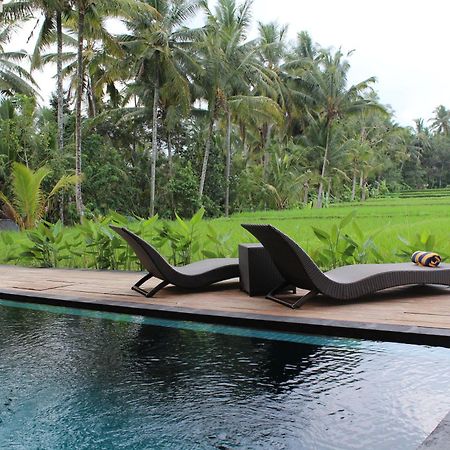 Manyi Village Ubud Εξωτερικό φωτογραφία