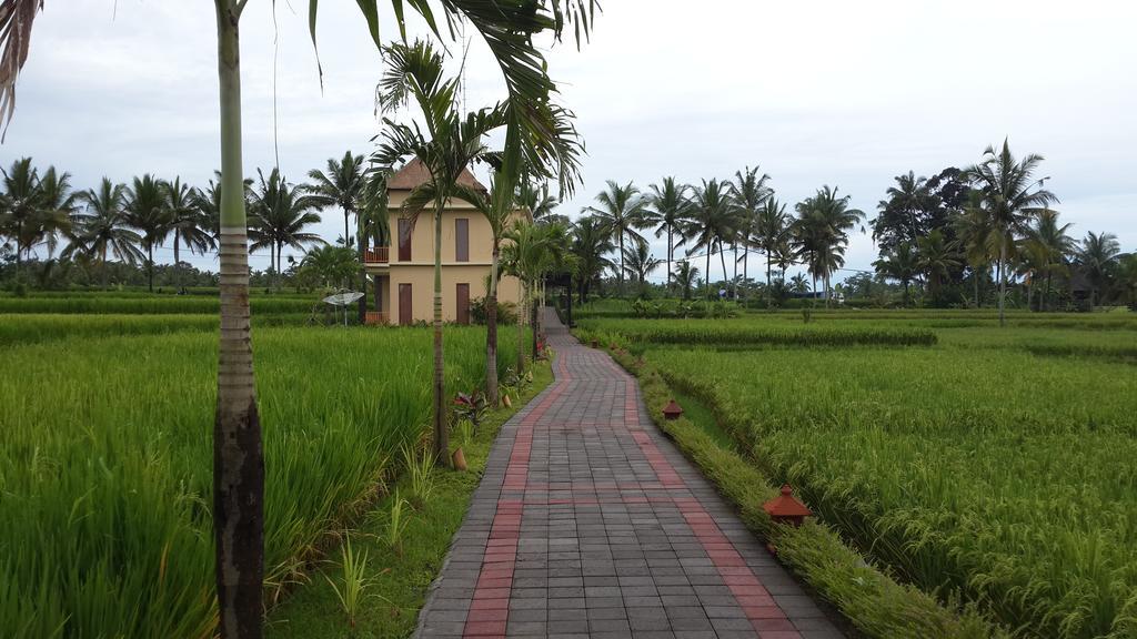 Manyi Village Ubud Εξωτερικό φωτογραφία