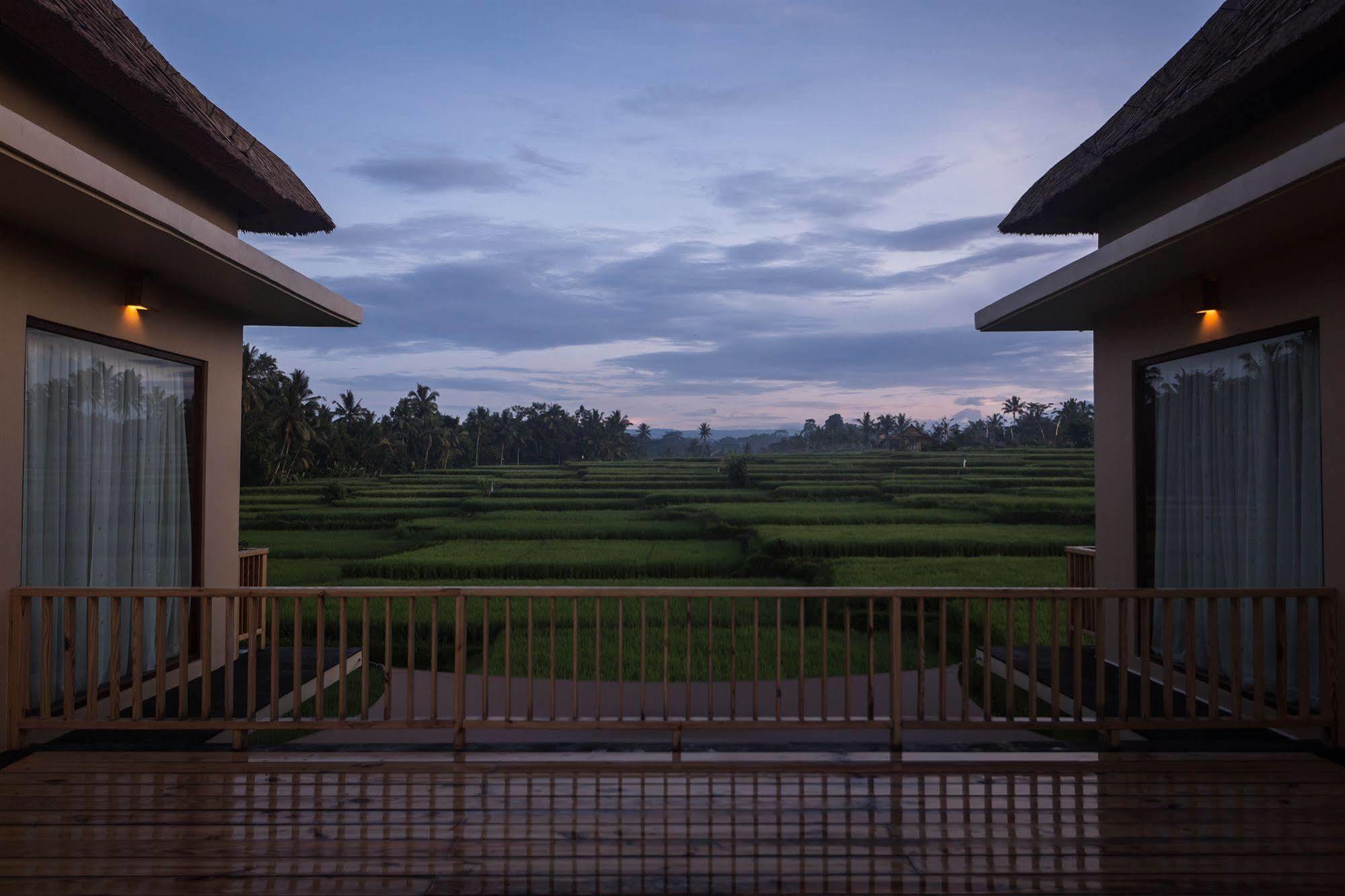 Manyi Village Ubud Εξωτερικό φωτογραφία
