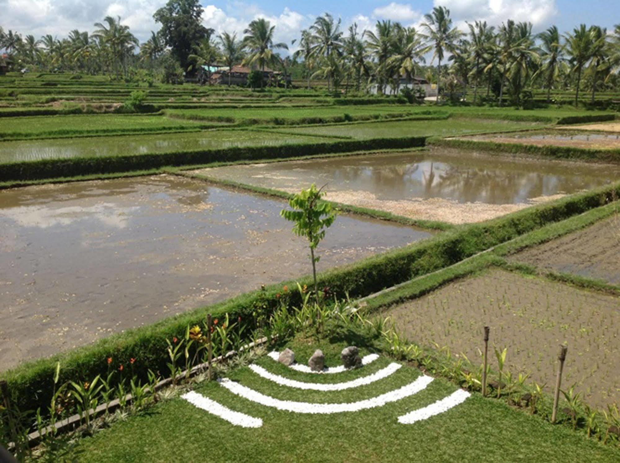 Manyi Village Ubud Εξωτερικό φωτογραφία