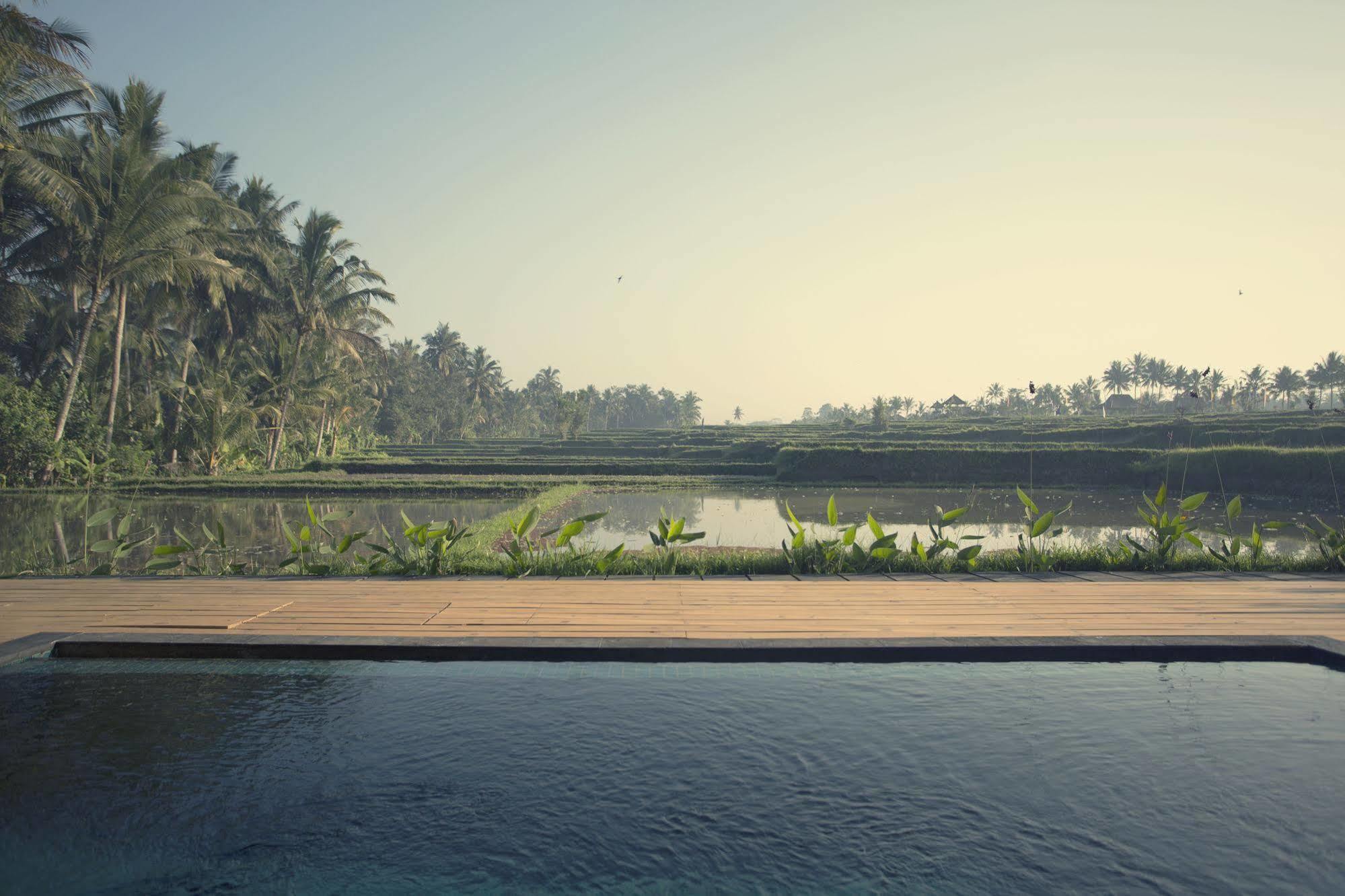 Manyi Village Ubud Εξωτερικό φωτογραφία
