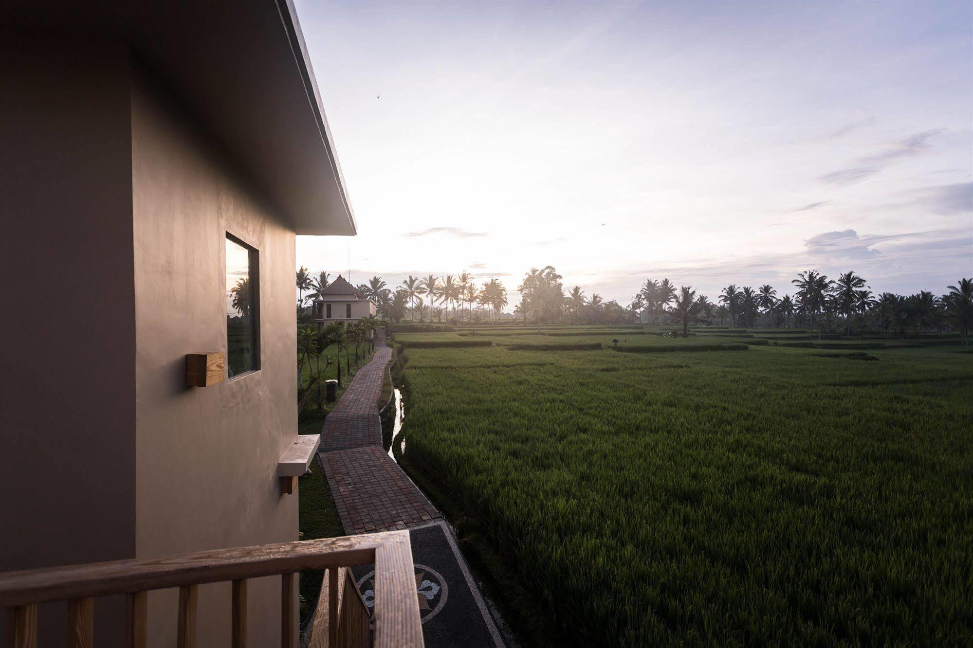 Manyi Village Ubud Εξωτερικό φωτογραφία