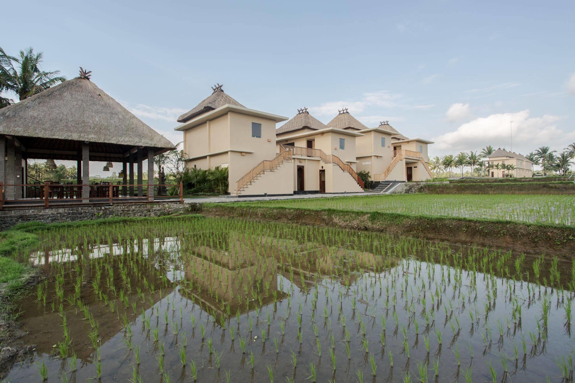 Manyi Village Ubud Εξωτερικό φωτογραφία
